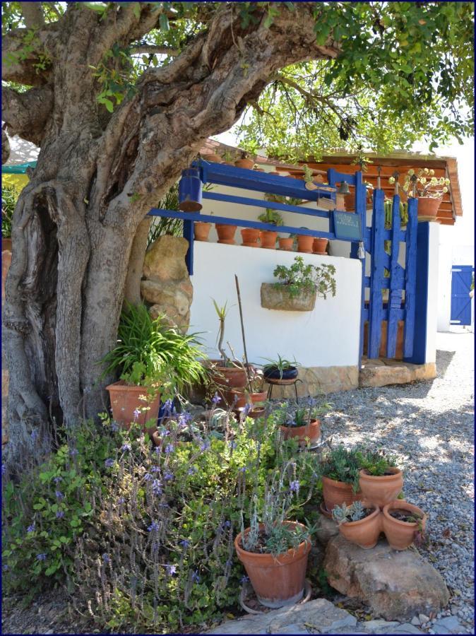 Studio Casa Formosa Olhão المظهر الخارجي الصورة